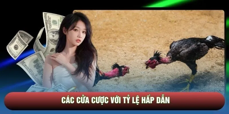 Các cửa cược với tỷ lệ hấp dẫn Các cửa cược với tỷ lệ hấp dẫn