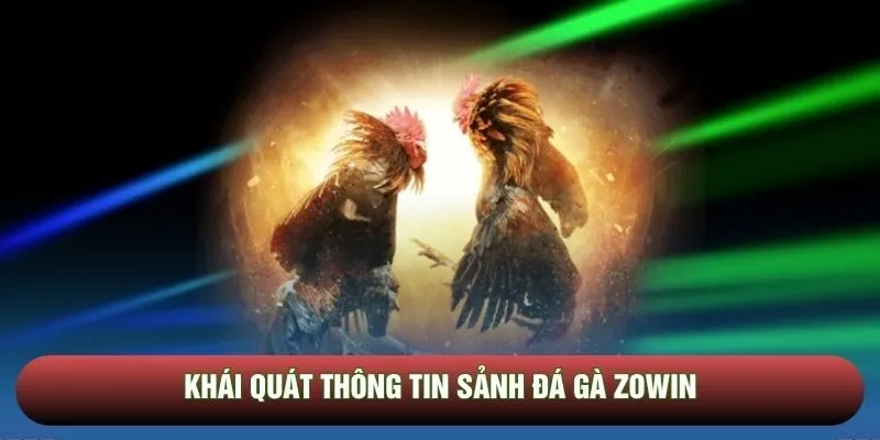 Khái quát thông tin sảnh đá gà Zowin Khái quát thông tin sảnh đá gà Zowin